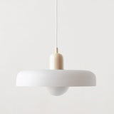 Modern Glass Pendant Light for Dining Room or Kitchen