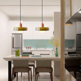 Modern Glass Pendant Light for Dining Room or Kitchen