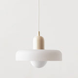 Modern Glass Pendant Light for Dining Room or Kitchen