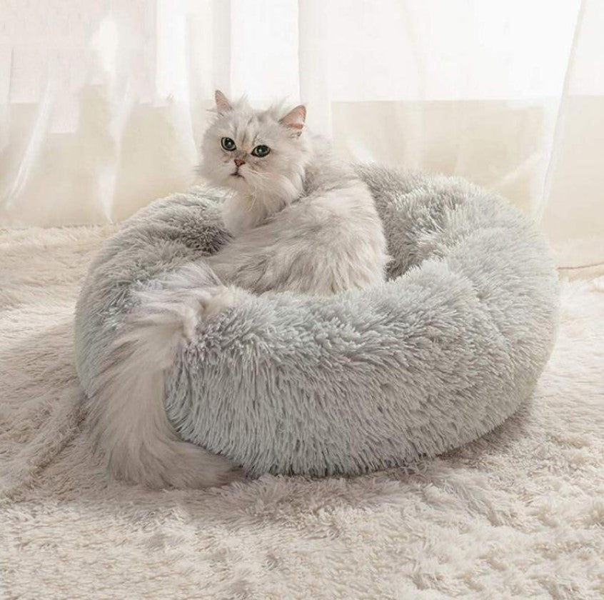 Sleyn Cat Bed