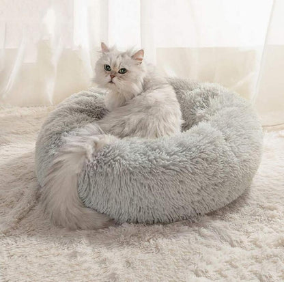 Sleyn Cat Bed