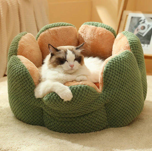 Cactus Cat Bed